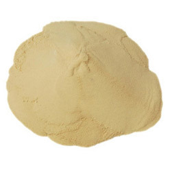 Manufacturers Exporters and Wholesale Suppliers of Protein Isolate Powder Surat Gujarat